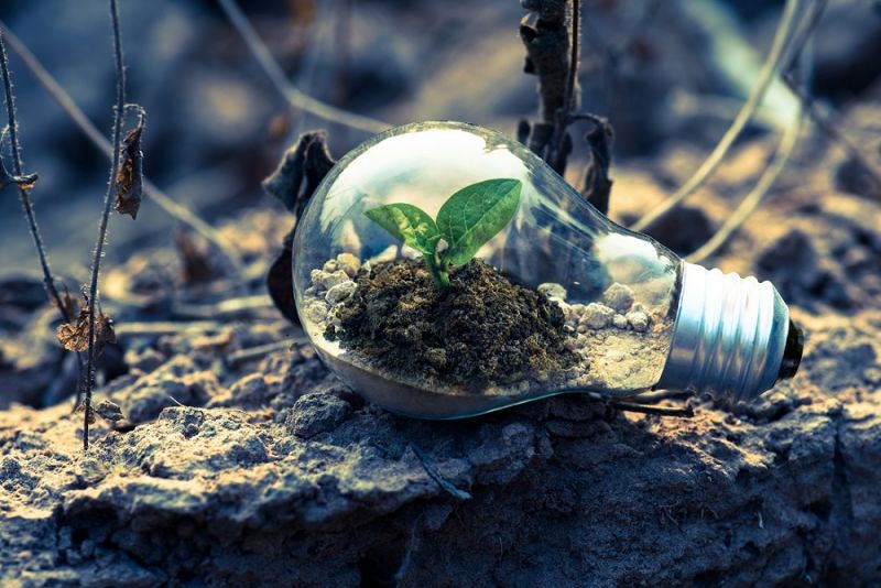 8 idei românești care vor să salveze planeta prin energie verde și sustenabilitate